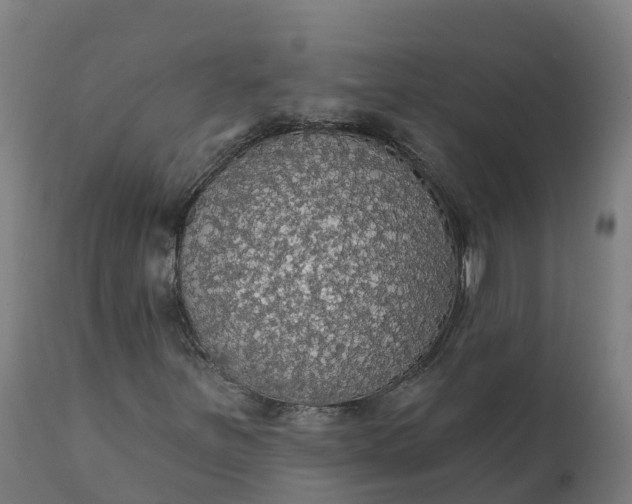 X0000112431251200908281854