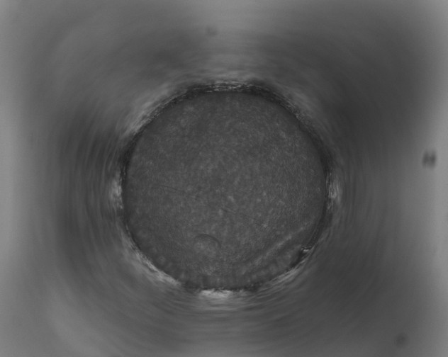 X0000112431252200908281854