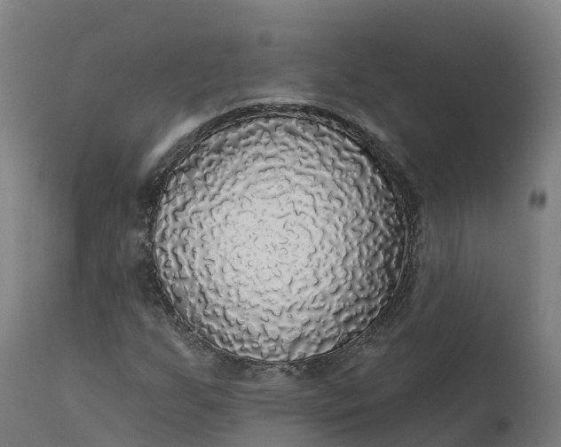 X0000112431255200908281854