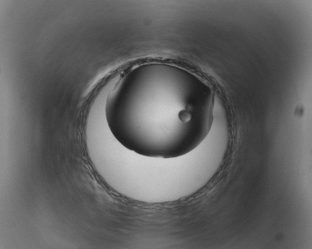 X0000112431256200908281854