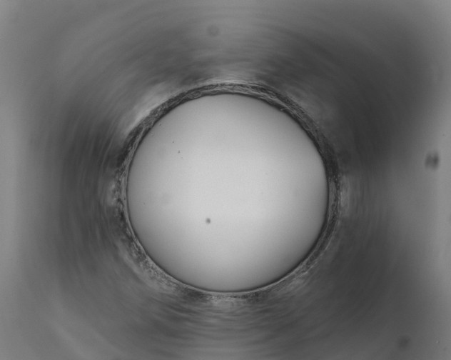 X0000112431258200908281854