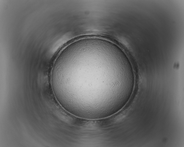 X0000112431259200908281854