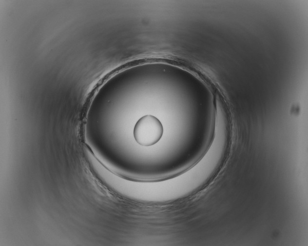X0000112431260200908281854