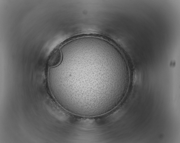 X0000112431261200908281854