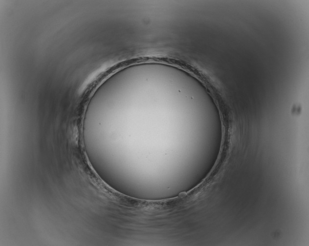 X0000112431262200908281854
