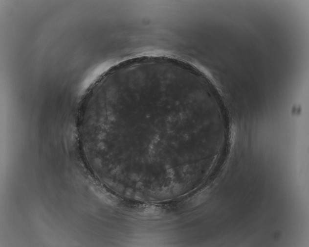 X0000112431263200908281854