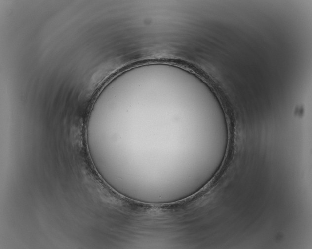 X0000112431265200908281854
