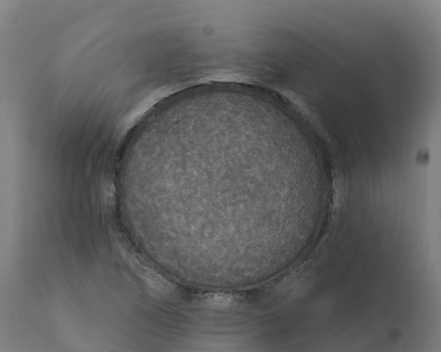 X0000112431266200908281854