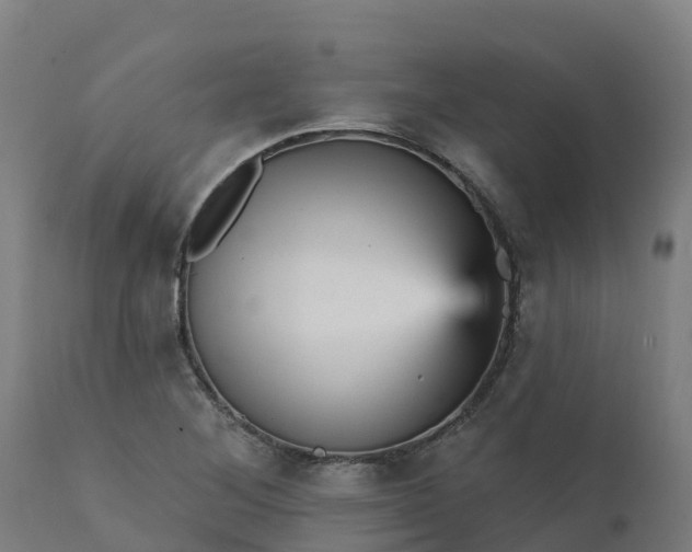 X0000112431268200908281854
