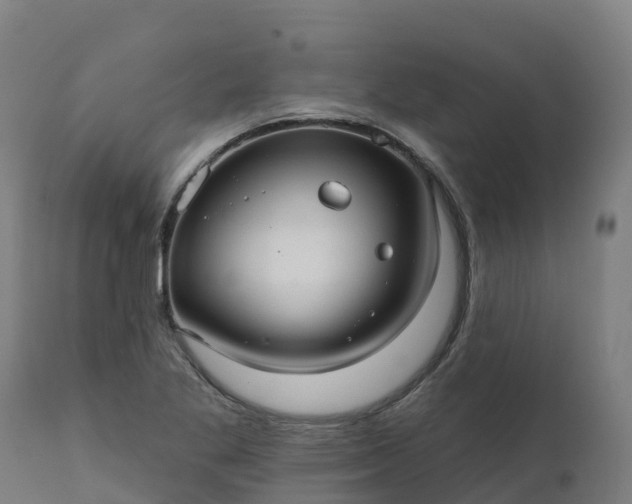 X0000112431269200908281854