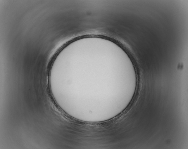 X0000112431270200908281854