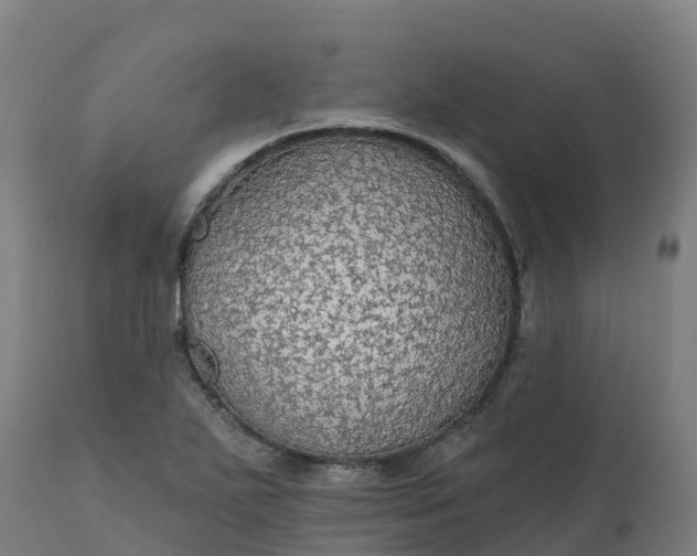 X0000112431271200908281854