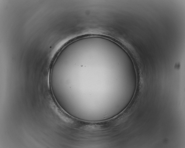 X0000112431272200908281853