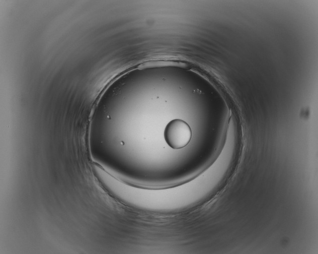 X0000112431273200908281853