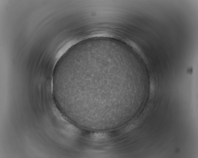 X0000112431274200908281853