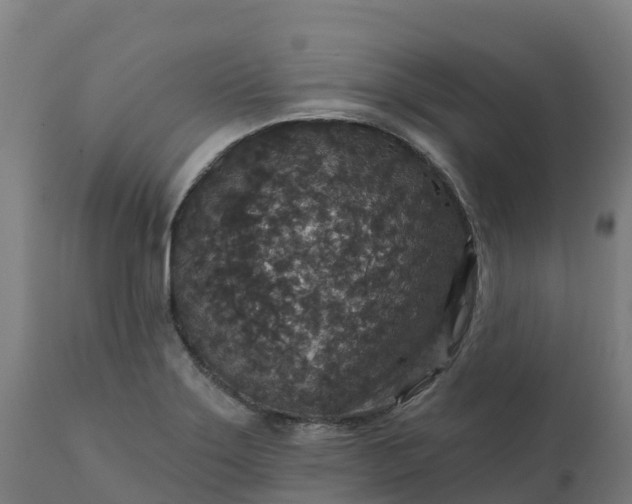 X0000112431275200908281853