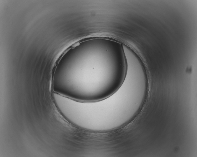 X0000112431276200908281853