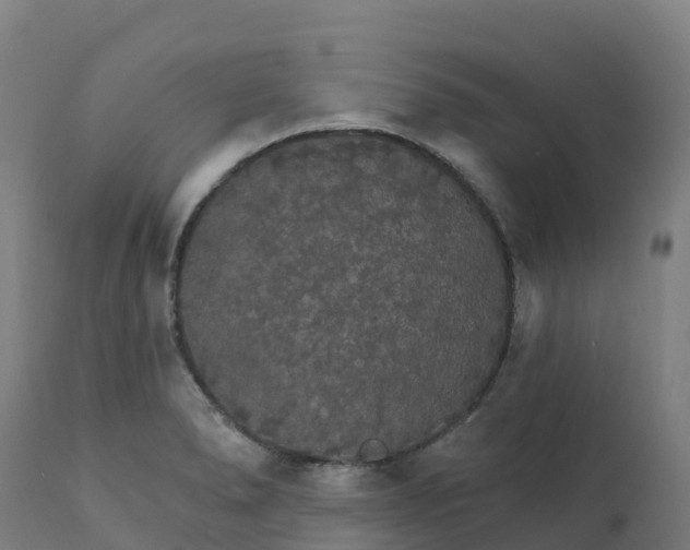 X0000112431278200908281853