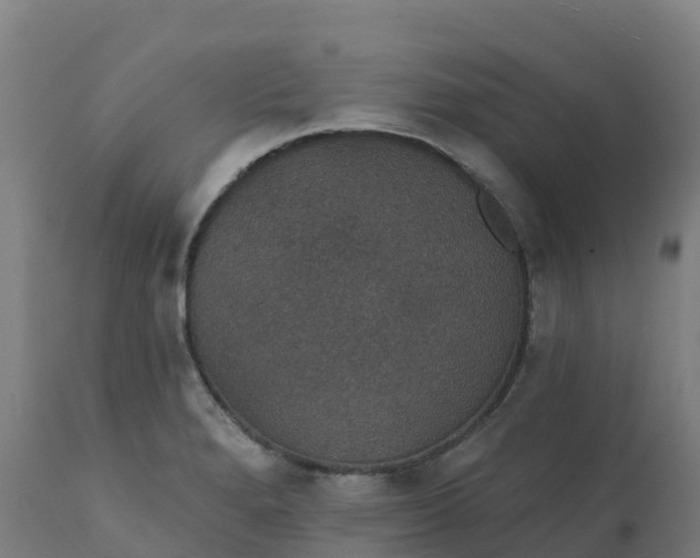 X0000112431280200908281853