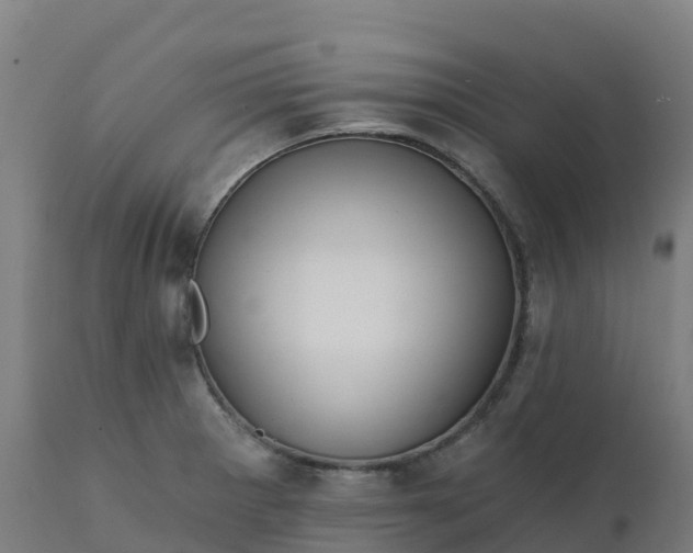 X0000112431281200908281853