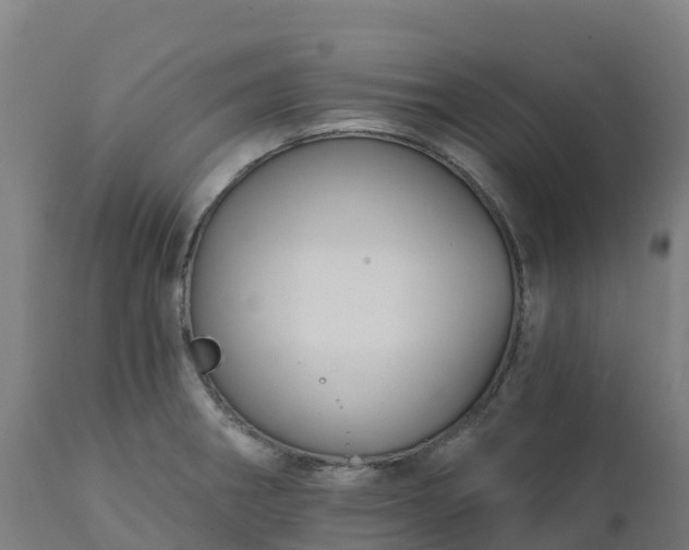 X0000112431282200908281853