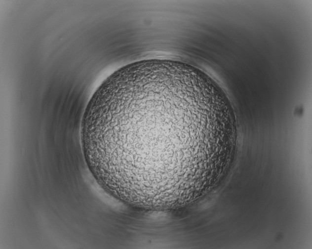X0000112431283200908281853