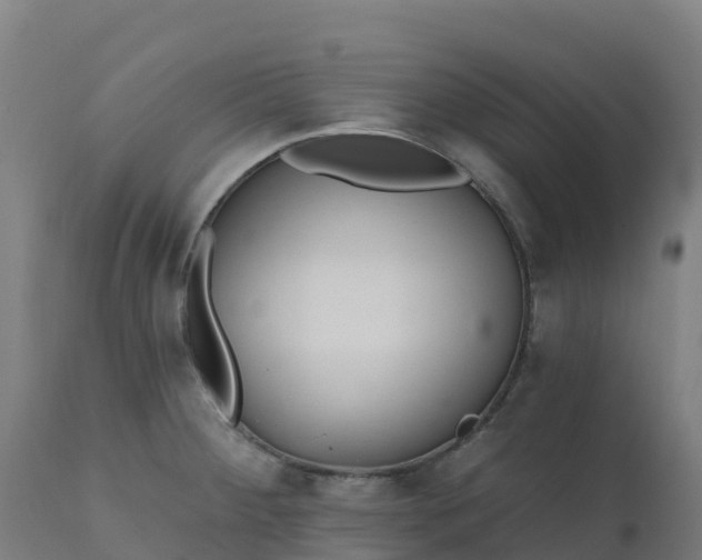 X0000112431284200908281853
