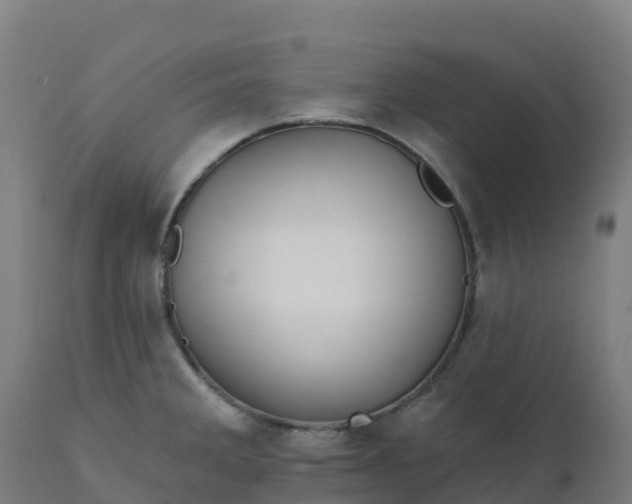 X0000112431285200908281853