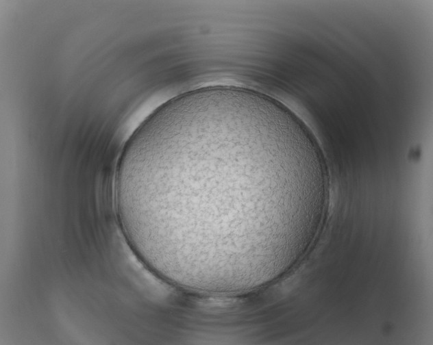 X0000112431290200908281853