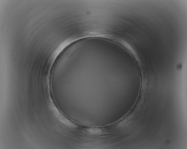 X0000112431291200908281853