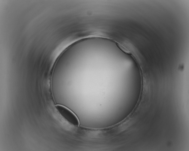 X0000112431292200908281853