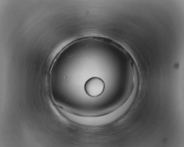 X0000112431293200908281853