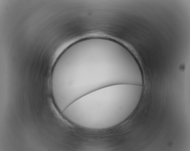 X0000112431295200908281853