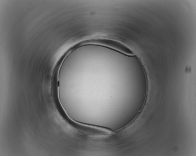X0000112431296200908281853