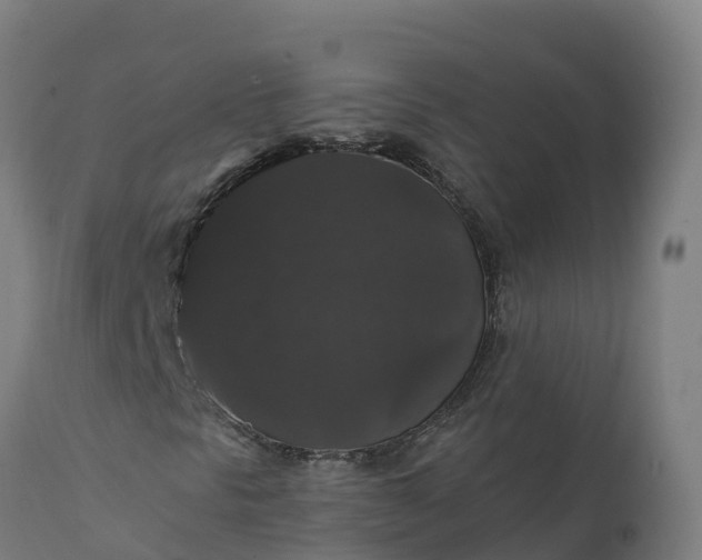 X0000112431297200908281852