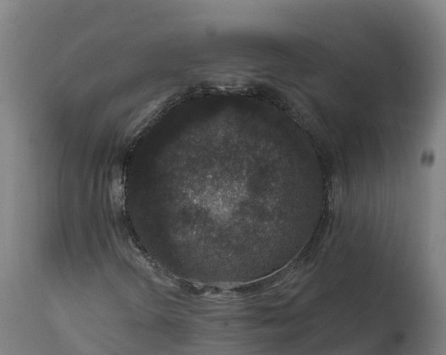 X0000112431298200908281852
