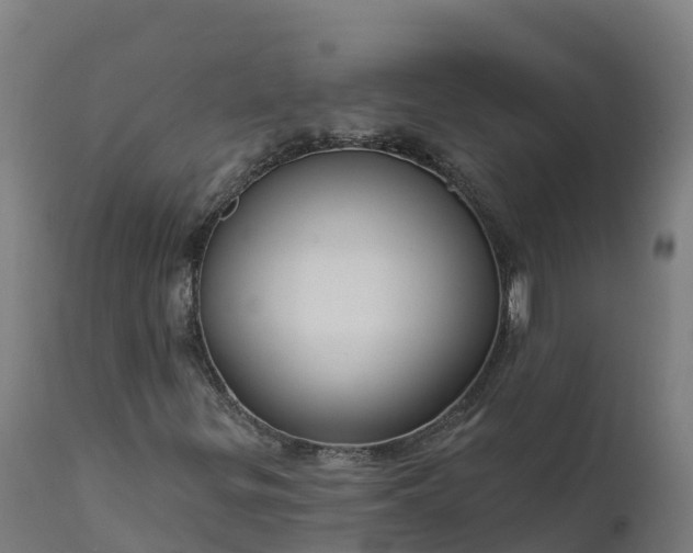 X0000112431299200908281852