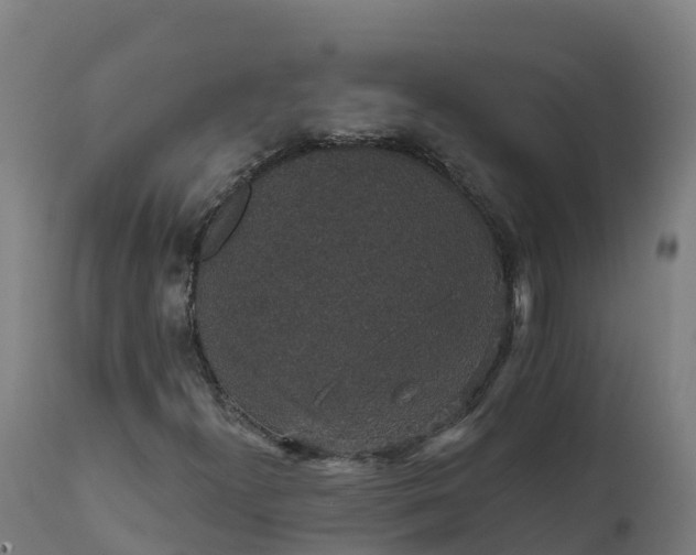 X0000112431300200908281852