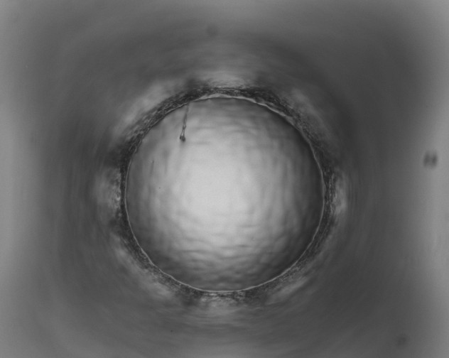 X0000112431301200908281852