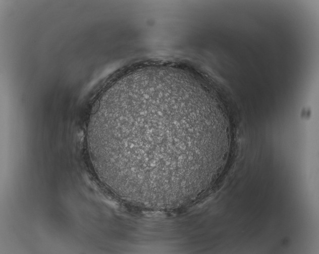 X0000112431302200908281852