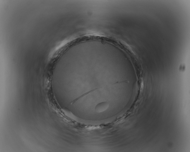X0000112431303200908281852