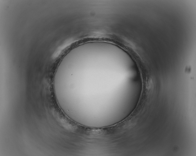 X0000112431304200908281852