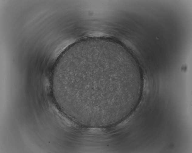 X0000112431305200908281852
