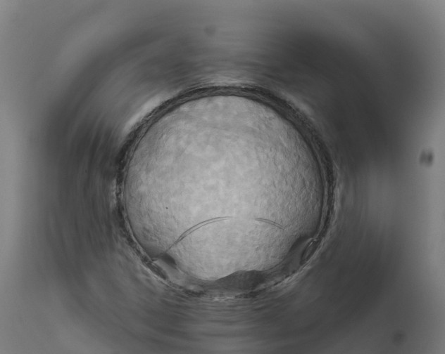 X0000112431306200908281852