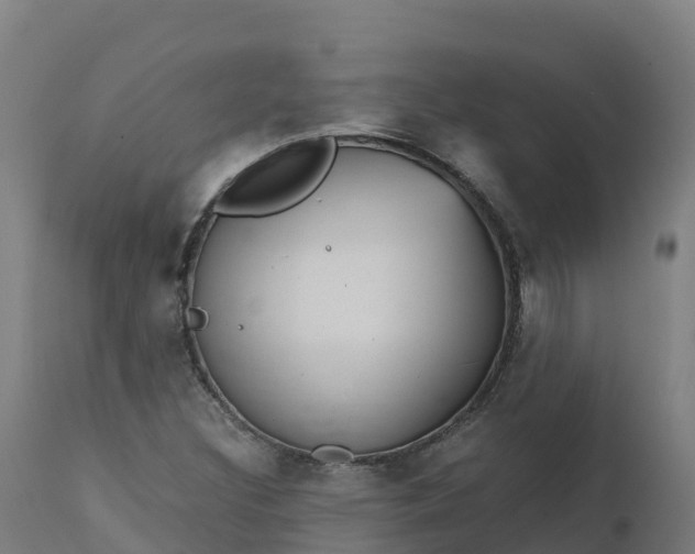 X0000112431308200908281852