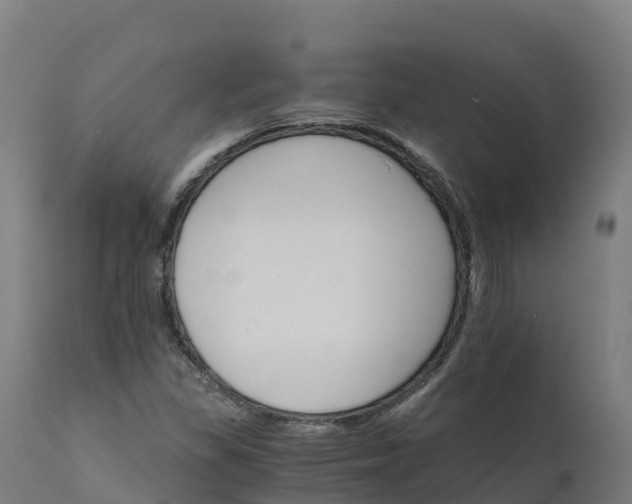 X0000112431309200908281852