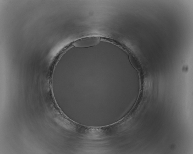 X0000112431310200908281852