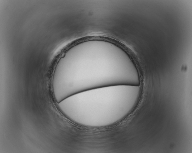 X0000112431311200908281852