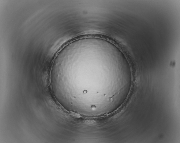 X0000112431313200908281852