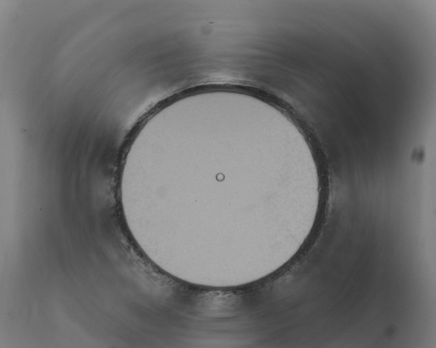 X0000112431314200908281852